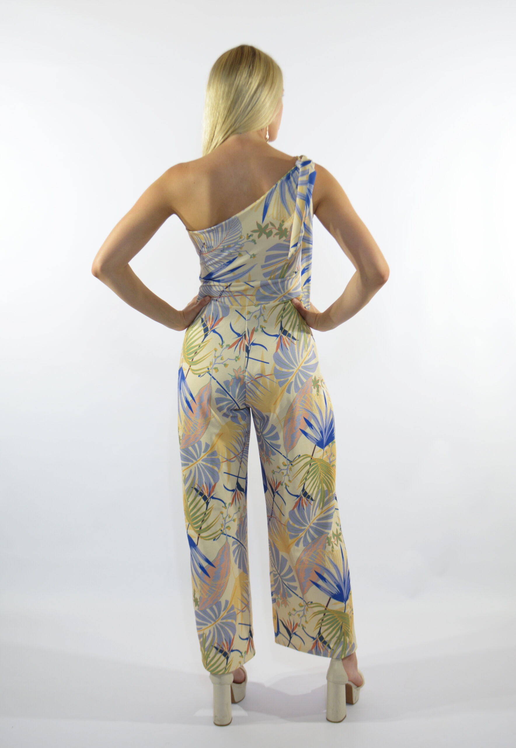Pantanaljumpsuit2__52693f
